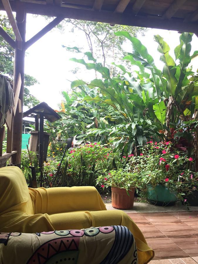 Wood House Hostel La Fortuna Екстер'єр фото