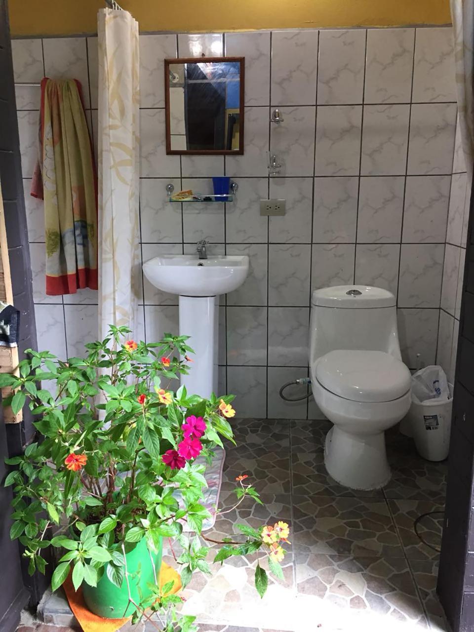Wood House Hostel La Fortuna Екстер'єр фото
